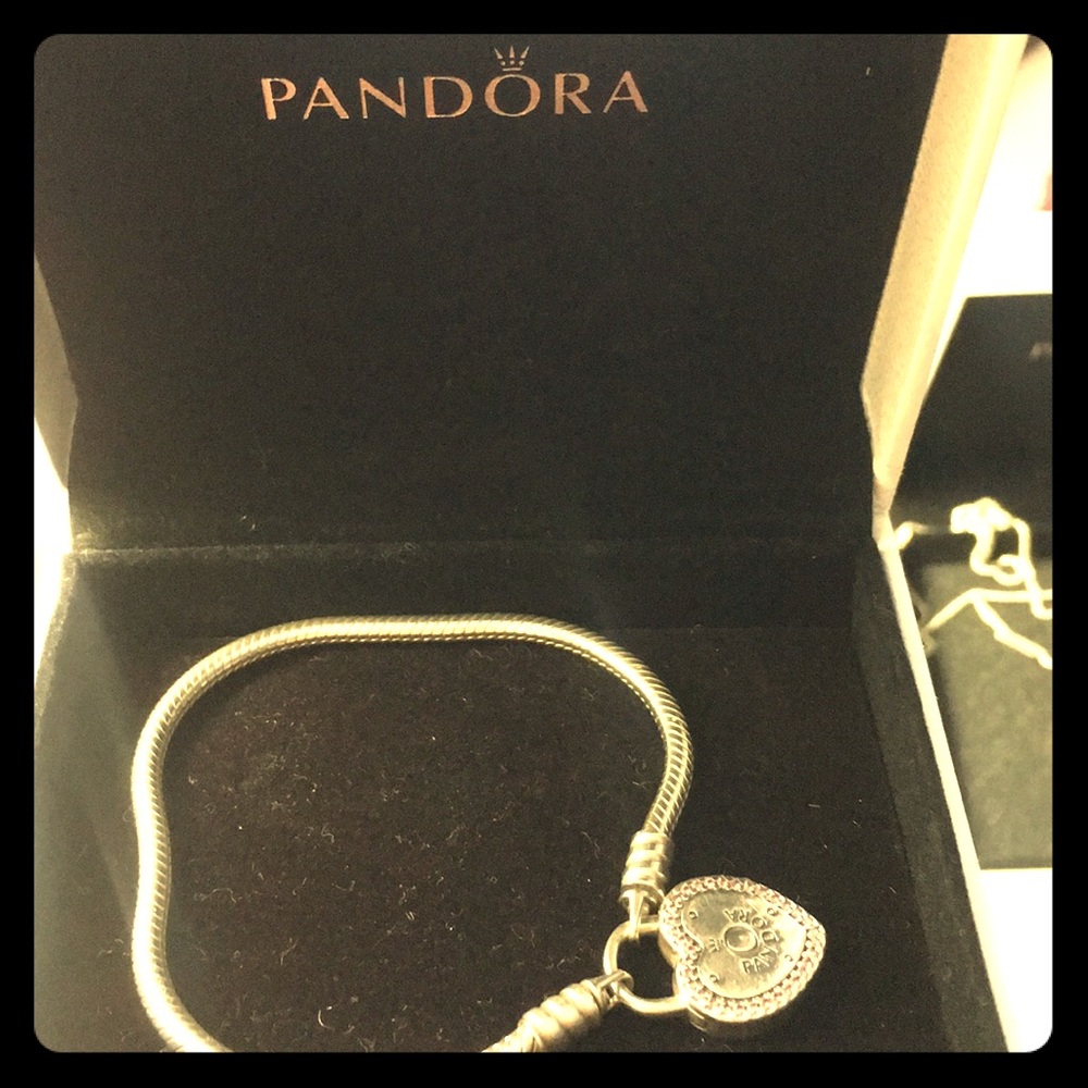 Pandora bracelet never worn